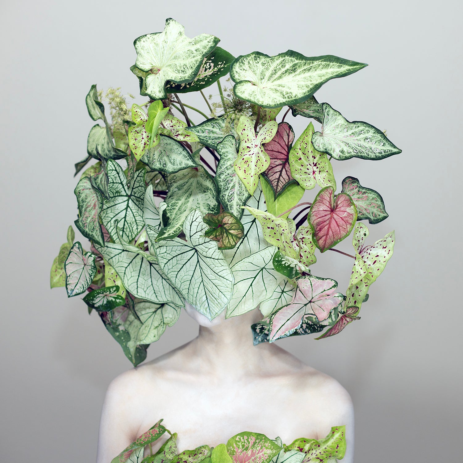 Floral Portrait 22 – Open Edition Print