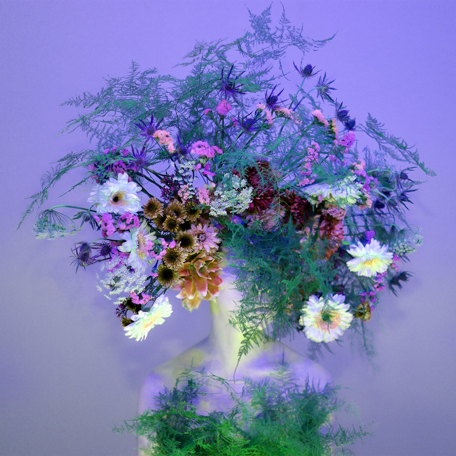 Floral Portrait 35 – Open Edition Print