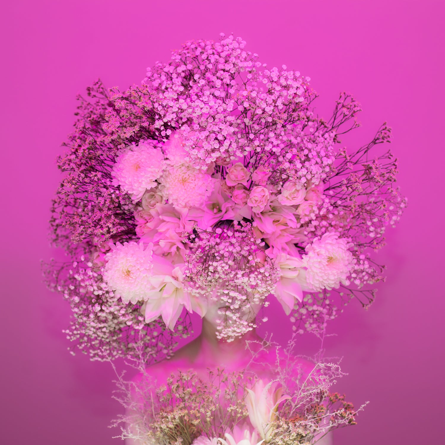 Floral Portrait 44 – Open Edition Print